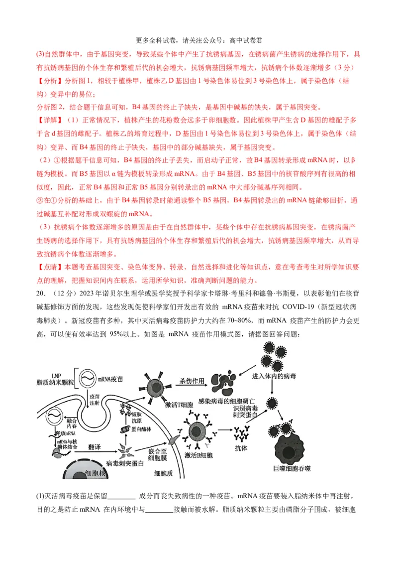 生物（九省联考考后提升卷，安徽卷）（解析版）_2024年4月_其他_2024年1月新&ldquo;九省联考&rdquo;考后提升卷（原卷+解析）_2024年1月&ldquo;九省联考&rdquo;生物真题完全解读与考后提升