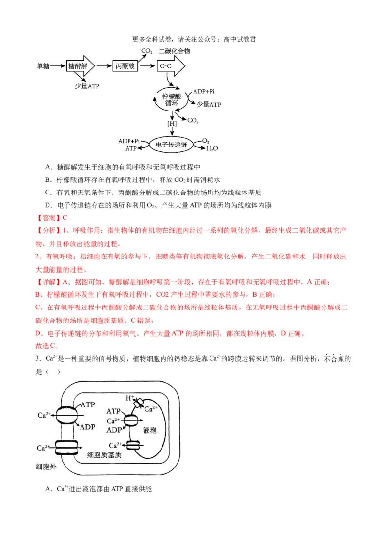 生物（九省联考考后提升卷，安徽卷）（解析版）_2024年4月_其他_2024年1月新&ldquo;九省联考&rdquo;考后提升卷（原卷+解析）_2024年1月&ldquo;九省联考&rdquo;生物真题完全解读与考后提升