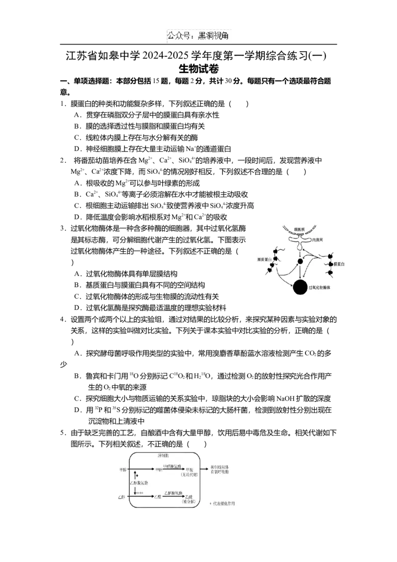 江苏省如皋中学2024-2025学年高三上学期综合练习（一）生物Word版含答案_2024-2025高三（6-6月题库）_2024年10月试卷_1024江苏省如皋中学2024-2025学年高三上学期综合练习（一）