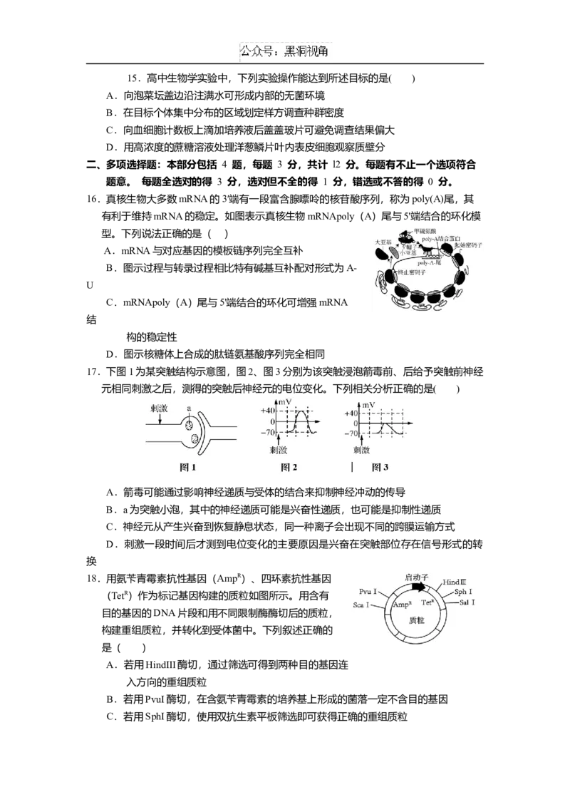 江苏省如皋中学2024-2025学年高三上学期综合练习（一）生物Word版含答案_2024-2025高三（6-6月题库）_2024年10月试卷_1024江苏省如皋中学2024-2025学年高三上学期综合练习（一）