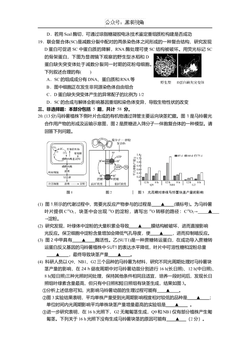 江苏省如皋中学2024-2025学年高三上学期综合练习（一）生物Word版含答案_2024-2025高三（6-6月题库）_2024年10月试卷_1024江苏省如皋中学2024-2025学年高三上学期综合练习（一）