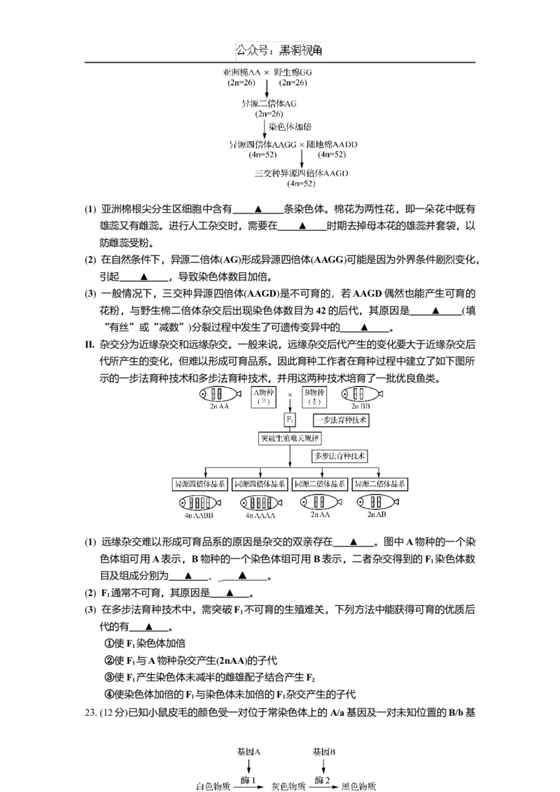 江苏省如皋中学2024-2025学年高三上学期综合练习（一）生物Word版含答案_2024-2025高三（6-6月题库）_2024年10月试卷_1024江苏省如皋中学2024-2025学年高三上学期综合练习（一）
