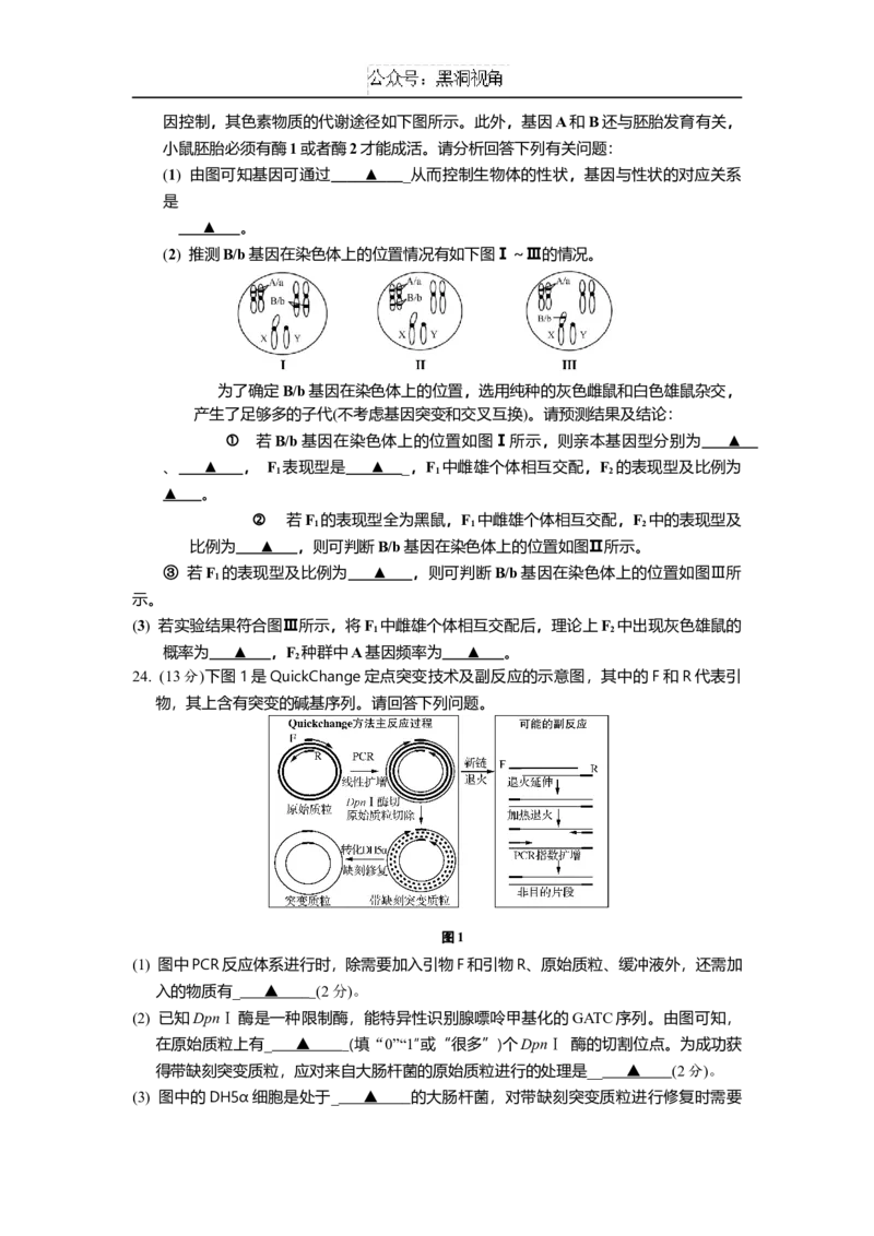 江苏省如皋中学2024-2025学年高三上学期综合练习（一）生物Word版含答案_2024-2025高三（6-6月题库）_2024年10月试卷_1024江苏省如皋中学2024-2025学年高三上学期综合练习（一）