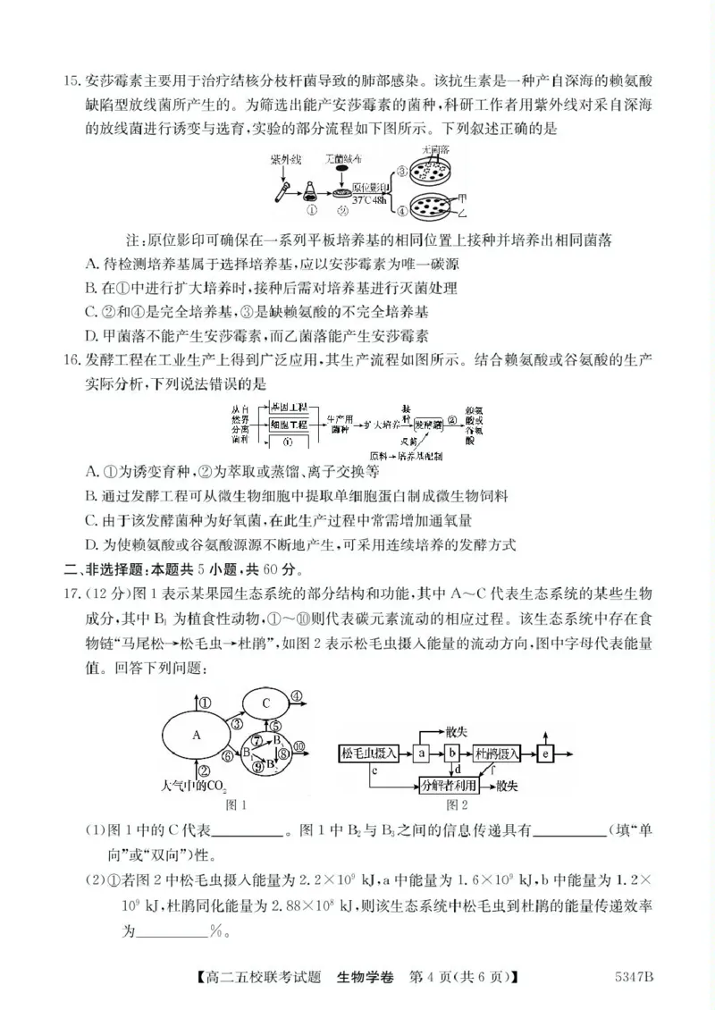 广东省惠州仲恺中学等五校2024-2025学年高二下学期4月联考生物试卷（扫描版有答案）_2024-2025高二（7-7月题库）_2025年04月试卷(1)