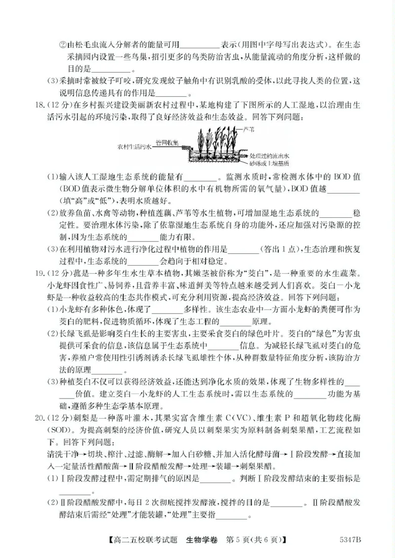 广东省惠州仲恺中学等五校2024-2025学年高二下学期4月联考生物试卷（扫描版有答案）_2024-2025高二（7-7月题库）_2025年04月试卷(1)