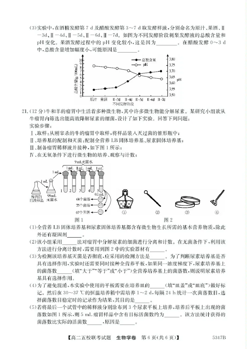 广东省惠州仲恺中学等五校2024-2025学年高二下学期4月联考生物试卷（扫描版有答案）_2024-2025高二（7-7月题库）_2025年04月试卷(1)