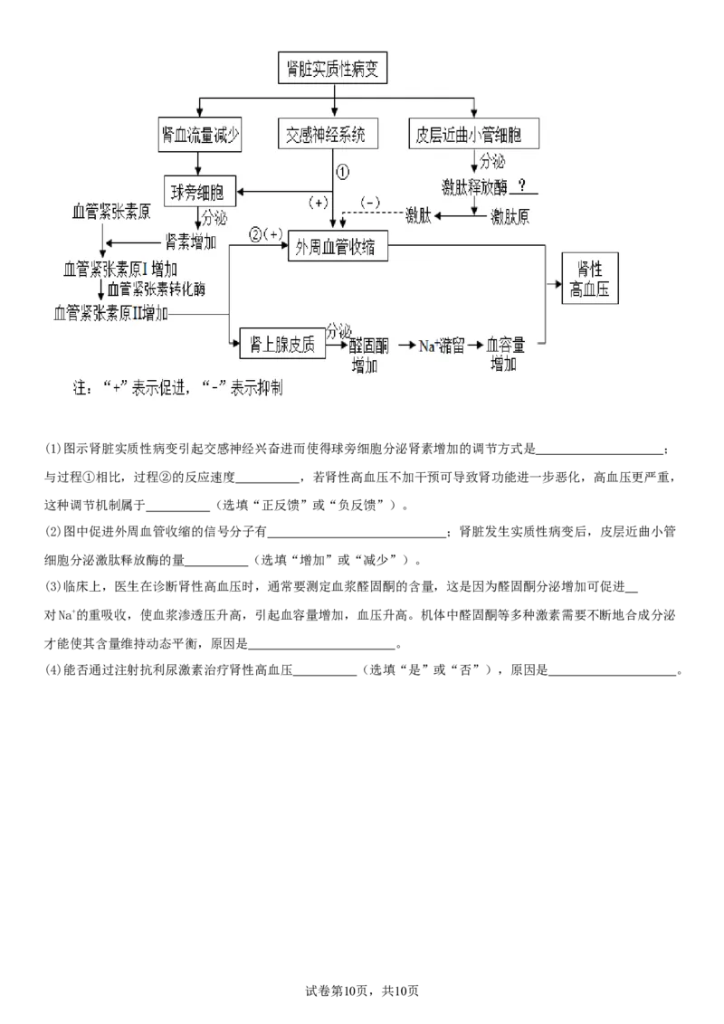 四川省南充市嘉陵一中2025-2026学年高二上学期10月月考试题生物Word版含答案_2025年11月高二试卷_251102四川省南充市嘉陵一中2025-2026学年高二上学期10月月考试题（全)