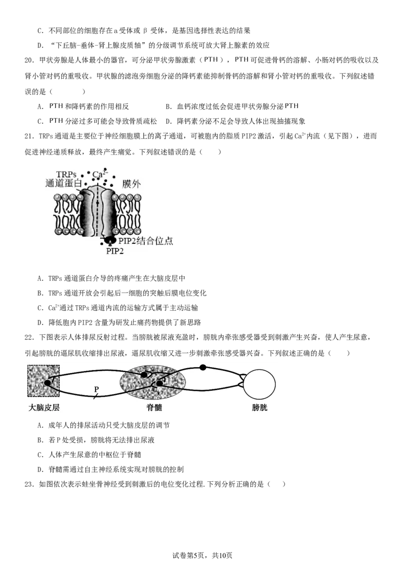 四川省南充市嘉陵一中2025-2026学年高二上学期10月月考试题生物Word版含答案_2025年11月高二试卷_251102四川省南充市嘉陵一中2025-2026学年高二上学期10月月考试题（全)