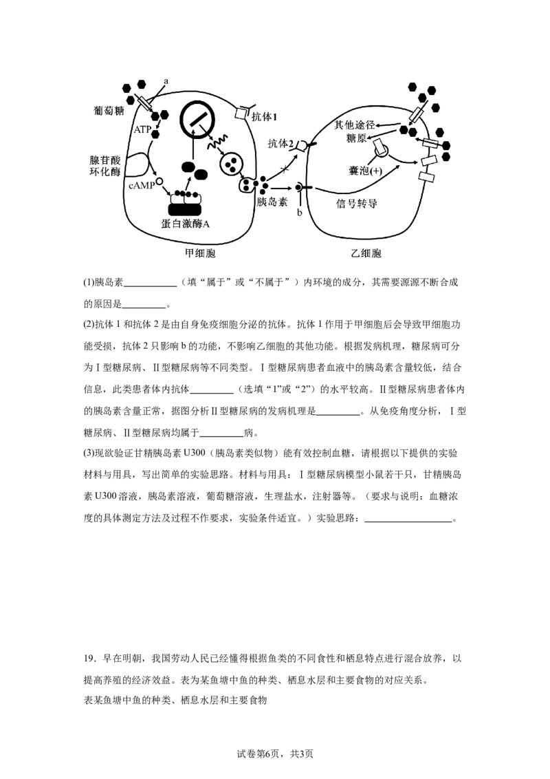 广东省清远市清新区四校2024-2025学年高三上学期期末联考生物+答案_2024-2025高三（6-6月题库）_2024年12月试卷_1230广东省清远市清新区四校2024-2025学年高三上学期期末联考试题（全科）
