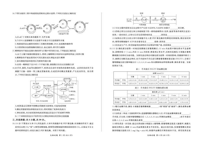 生物_2024年2月_01每日更新_04号_2024届百师联盟高三一轮复习(五)河北卷_百师联盟2024届高三一轮复习(五)河北卷生物