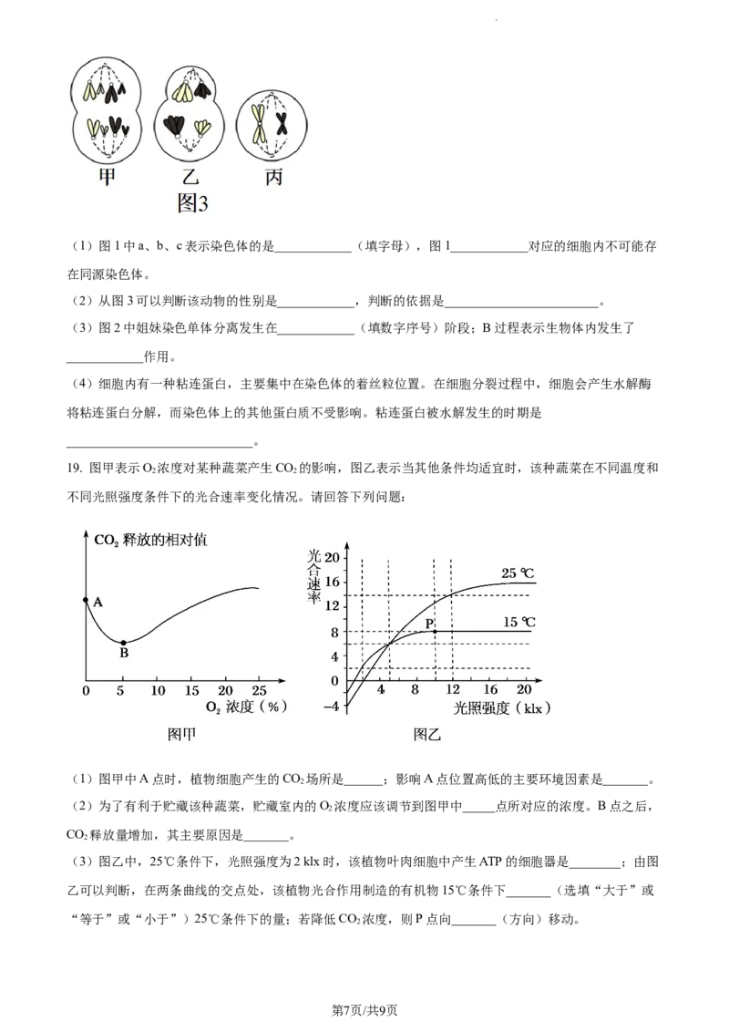 精品解析：甘肃省张掖市民乐县一中2023-2024学年高三上学期第二次诊断（期中）考试生物试题（原卷版）(1)_2023年11月_0211月合集_2024届甘肃省民乐县第一中学高三上学期第二次诊断考试