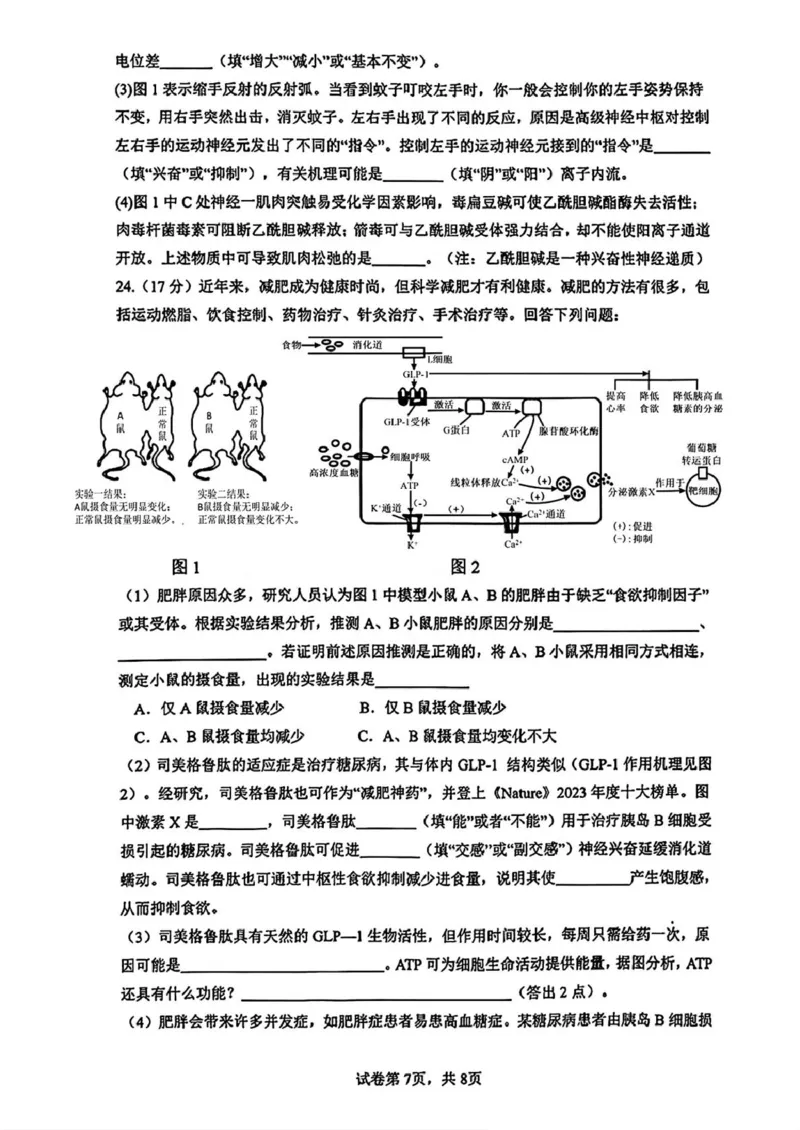 慈溪高二期末考试生物试卷_2024-2025高二（7-7月题库）_2025年01月试卷_0118浙江省宁波市慈溪市2024-2025学年高二上学期期末考试