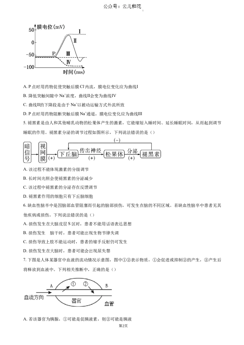 四川省泸州市泸县普通高中共同体2024-2025学年高二上学期11月期中考试生物（含答案）_2024-2025高二（7-7月题库）_2024年12月试卷
