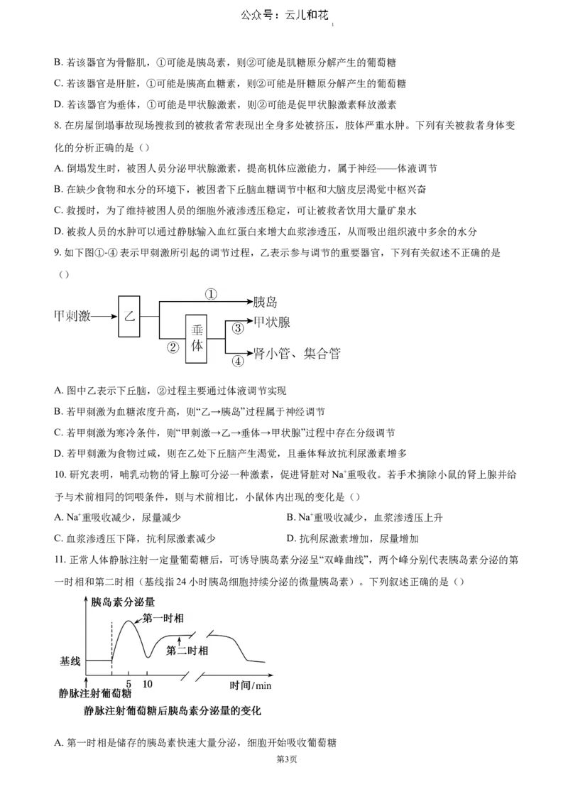 四川省泸州市泸县普通高中共同体2024-2025学年高二上学期11月期中考试生物（含答案）_2024-2025高二（7-7月题库）_2024年12月试卷