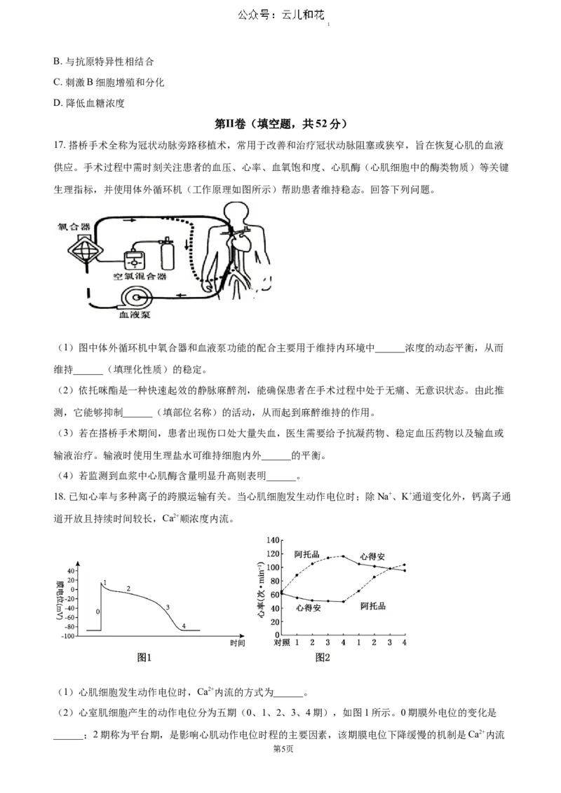 四川省泸州市泸县普通高中共同体2024-2025学年高二上学期11月期中考试生物（含答案）_2024-2025高二（7-7月题库）_2024年12月试卷