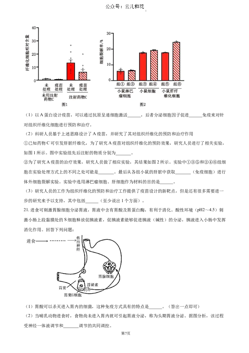 四川省泸州市泸县普通高中共同体2024-2025学年高二上学期11月期中考试生物（含答案）_2024-2025高二（7-7月题库）_2024年12月试卷