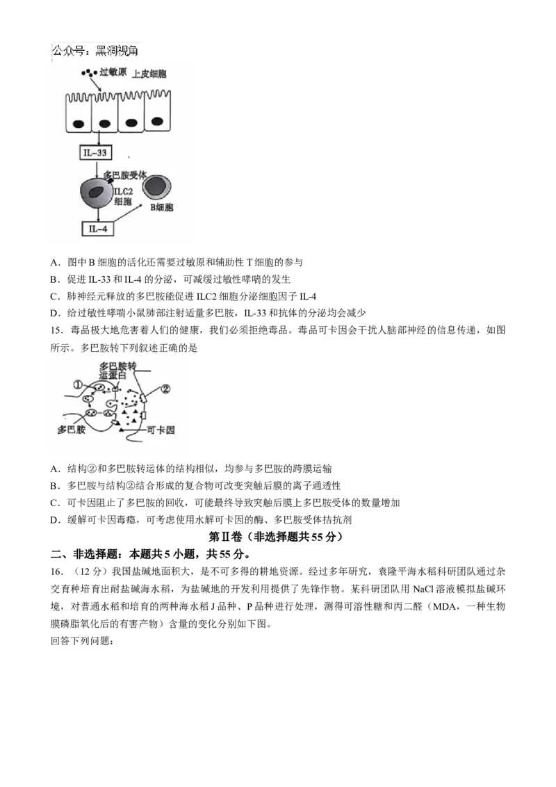 安徽江淮十校2025届高三第二次联考生物试题+答案_2024-2025高三（6-6月题库）_2024年11月试卷_1117安徽省江淮十校2025届高三第二次联考（全科）