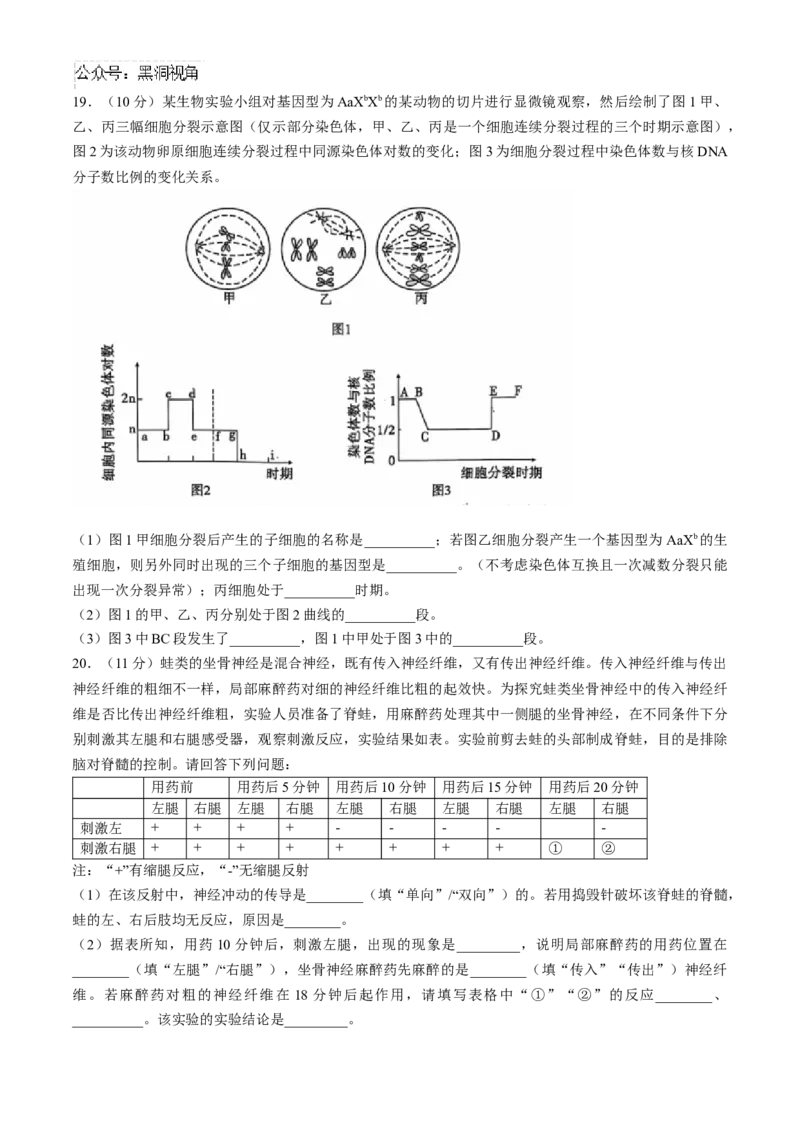 安徽江淮十校2025届高三第二次联考生物试题+答案_2024-2025高三（6-6月题库）_2024年11月试卷_1117安徽省江淮十校2025届高三第二次联考（全科）