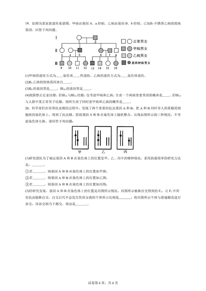 2027届高二上学期9月月考生物试卷_2025年10月高二试卷_251008四川省眉山市仁寿第一中学校（南校区）2025-2026学年高二上学期9月月考
