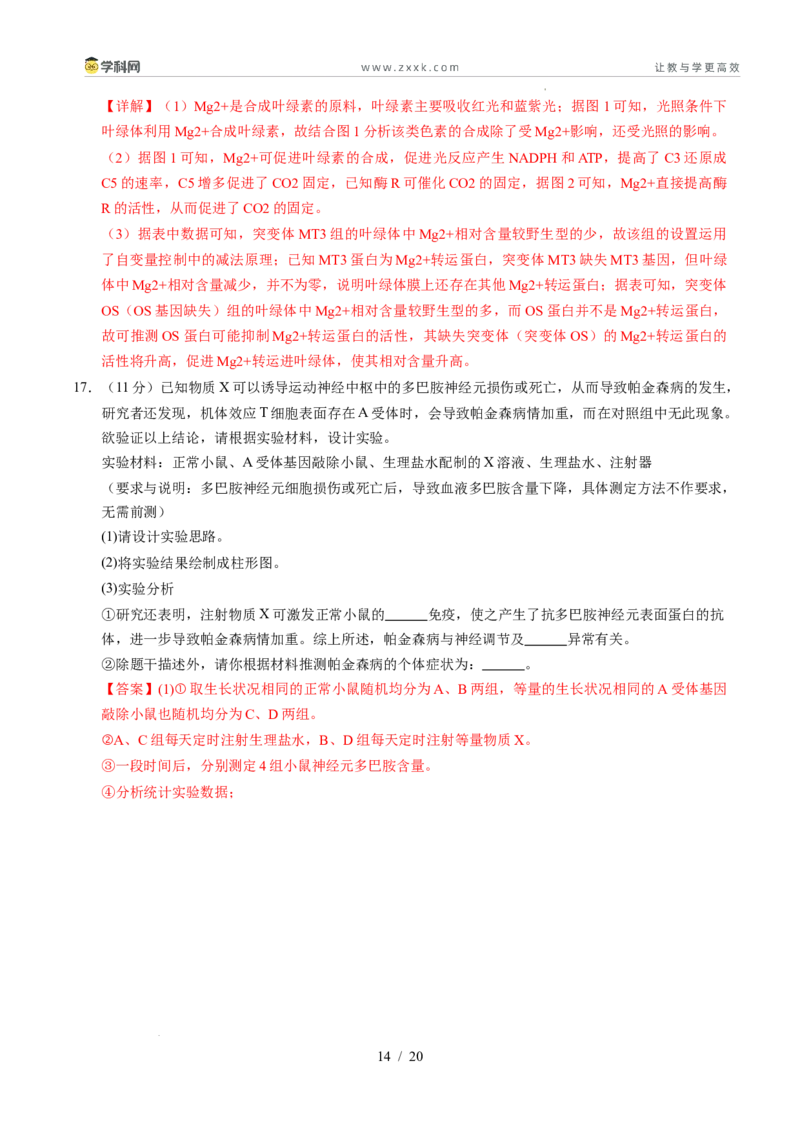 信息必刷卷01（新高考通用）解析版_2024-2025高三（6-6月题库）_2025年05月试卷_05242025年高考物理考前信息必刷卷01（新高考通用）