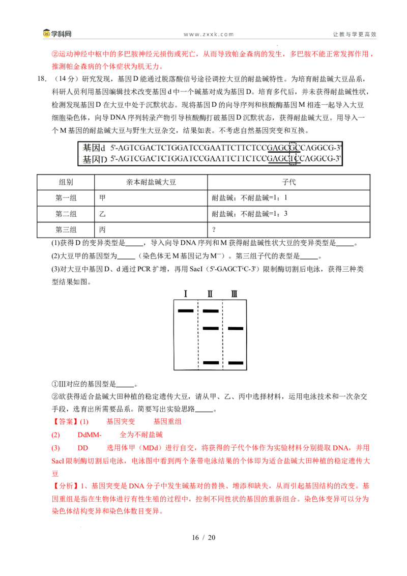 信息必刷卷01（新高考通用）解析版_2024-2025高三（6-6月题库）_2025年05月试卷_05242025年高考物理考前信息必刷卷01（新高考通用）