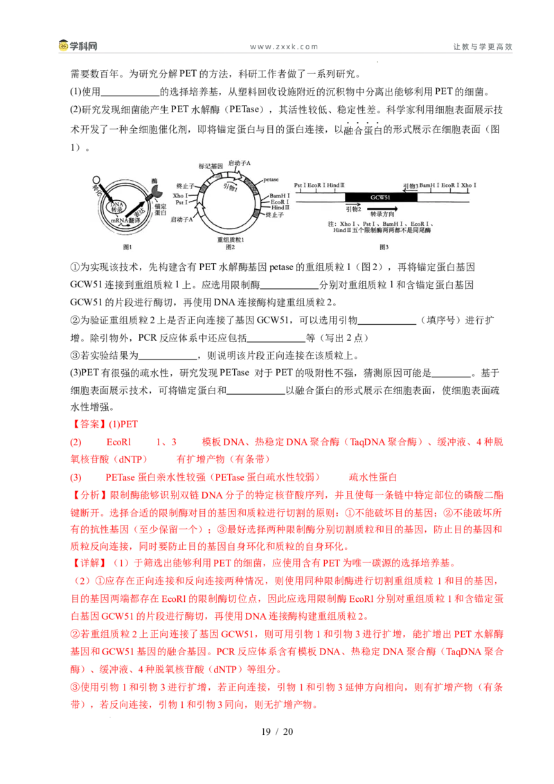 信息必刷卷01（新高考通用）解析版_2024-2025高三（6-6月题库）_2025年05月试卷_05242025年高考物理考前信息必刷卷01（新高考通用）