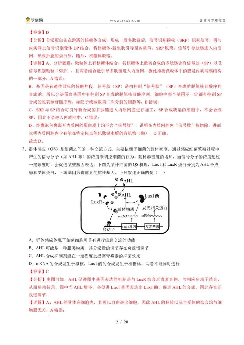 信息必刷卷01（新高考通用）解析版_2024-2025高三（6-6月题库）_2025年05月试卷_05242025年高考物理考前信息必刷卷01（新高考通用）