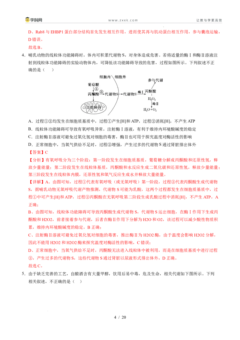 信息必刷卷01（新高考通用）解析版_2024-2025高三（6-6月题库）_2025年05月试卷_05242025年高考物理考前信息必刷卷01（新高考通用）