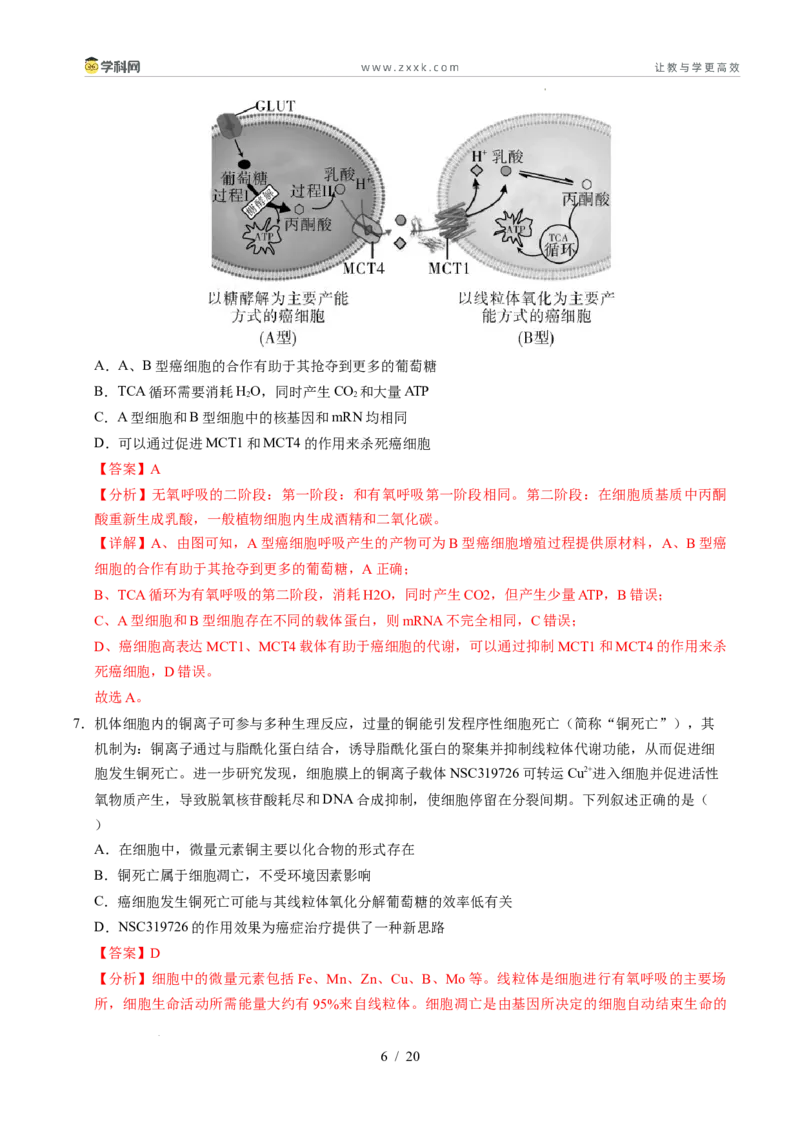 信息必刷卷01（新高考通用）解析版_2024-2025高三（6-6月题库）_2025年05月试卷_05242025年高考物理考前信息必刷卷01（新高考通用）