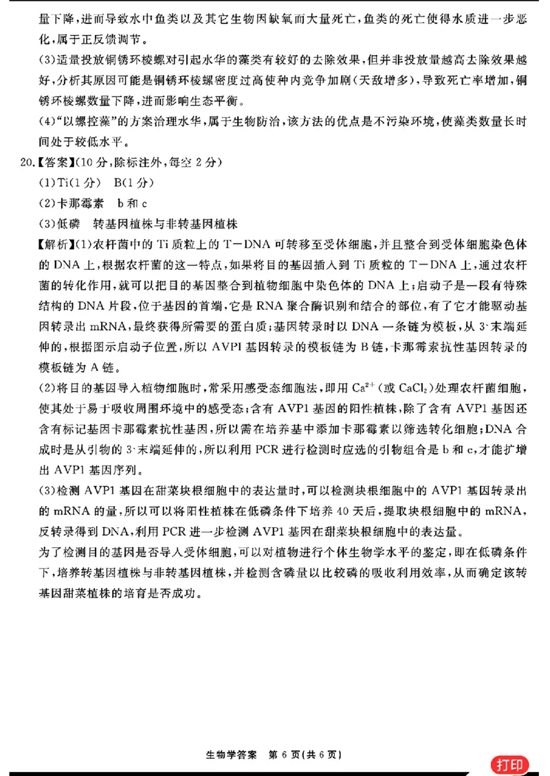 生物参考答案提示及评分细则(1)_2024年2月_022月合集_2024届安徽&ldquo;耀正优+&rdquo;高三名校期末测试