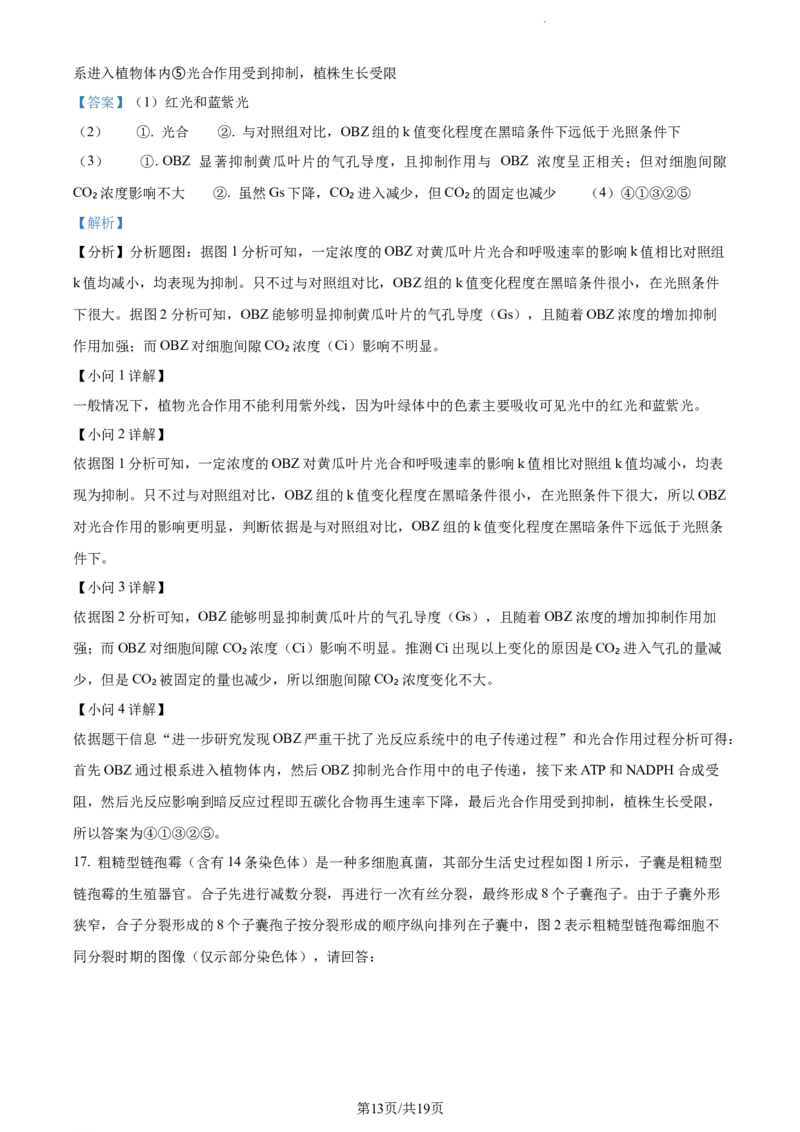 精品解析：福建省莆田二十五中2023-2024学年高三上学期期中生物试题（解析版）(1)_2023年11月_0211月合集_2024届福建省莆田第二十五中学高三上学期期中考试