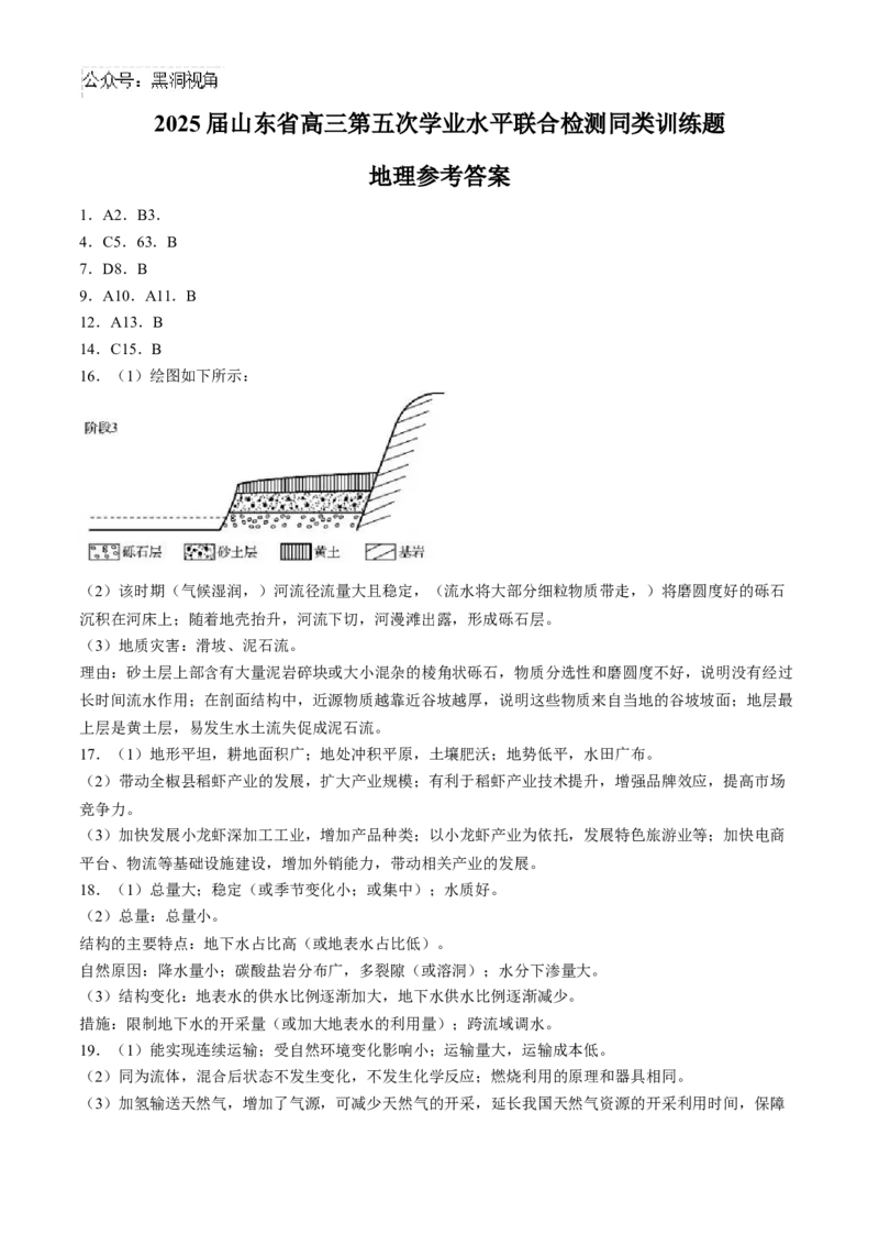 山东省齐鲁名校2024-2025学年高三下学期第五次学业水平联合检测地理试题（B卷）（含答案）_2024-2025高三（6-6月题库）_2025年02月试卷