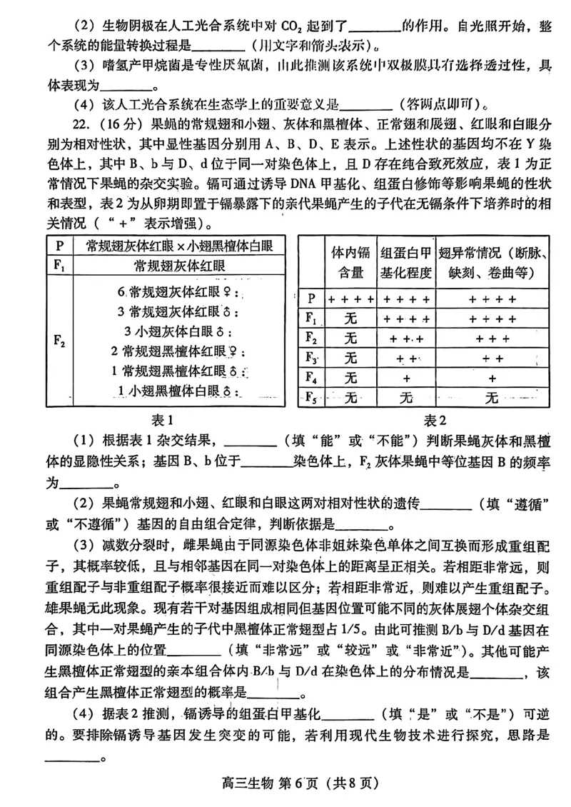 生物扫描件_高考模拟考试-d5840794ba54_2024年3月_013月合集_2024届山东省潍坊市滨州市高三一模_2024届山东省潍坊市滨州市高三一模生物