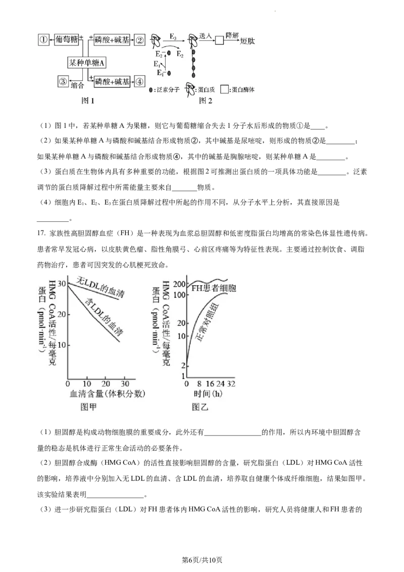 精品解析：福建省宁德市德化一中2023-2024学年高三上学期第一次月考生物试题（原卷版）(1)_2023年11月_0211月合集_2024届福建省泉州市德化第一中学高三上学期第一次月考