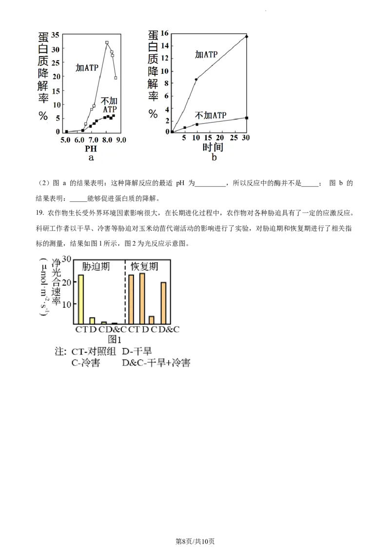 精品解析：福建省宁德市德化一中2023-2024学年高三上学期第一次月考生物试题（原卷版）(1)_2023年11月_0211月合集_2024届福建省泉州市德化第一中学高三上学期第一次月考
