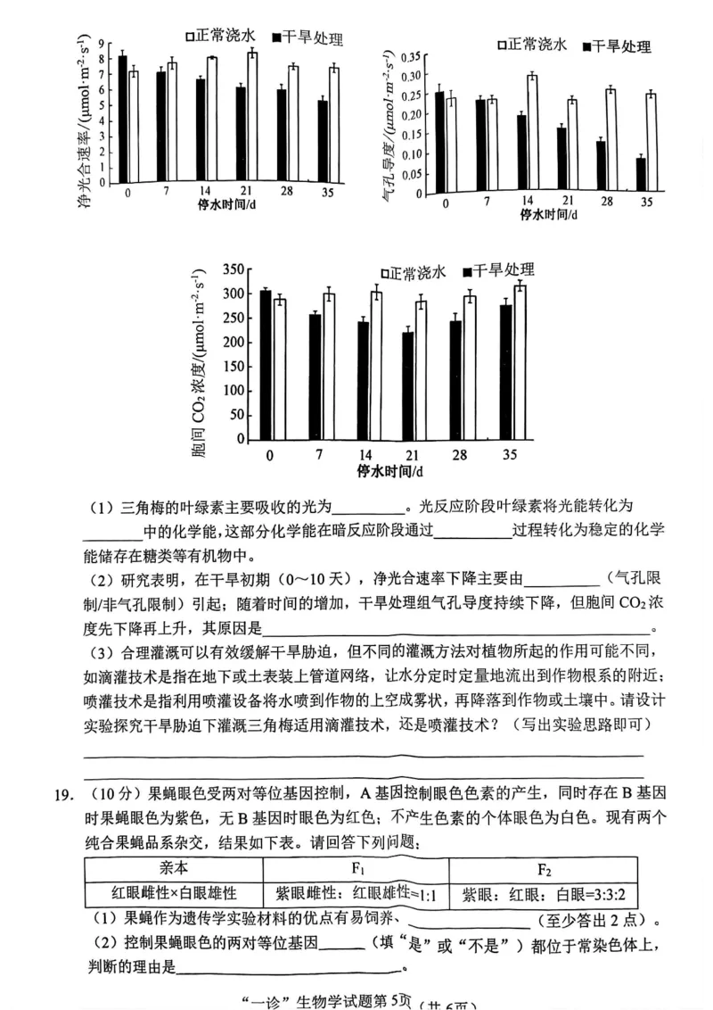 四川省南充市2025届高三高考适应性考试（一诊）生物试题_2024-2025高三（6-6月题库）_2024年10月试卷_1012四川省南充市2025届高三高考适应性考试（一诊）