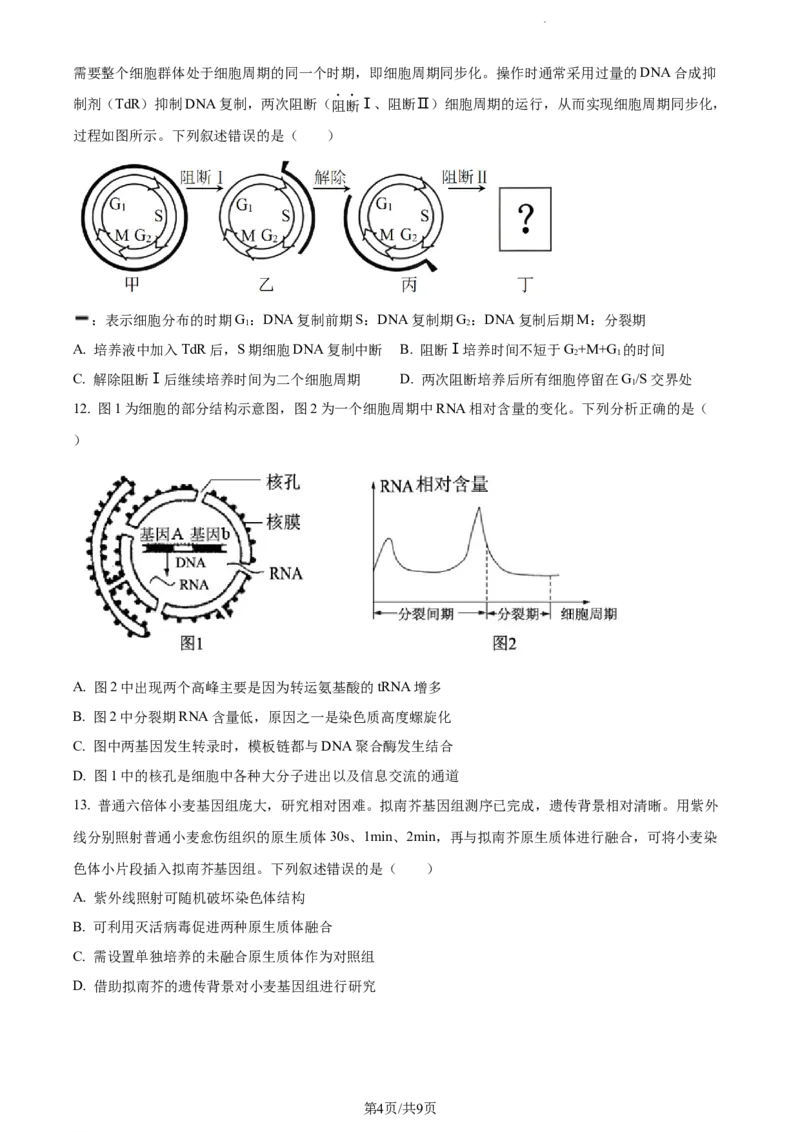 精品解析：福建省莆田二十五中2023-2024学年高三上学期期中生物试题（原卷版）(1)_2023年11月_0211月合集_2024届福建省莆田第二十五中学高三上学期期中考试