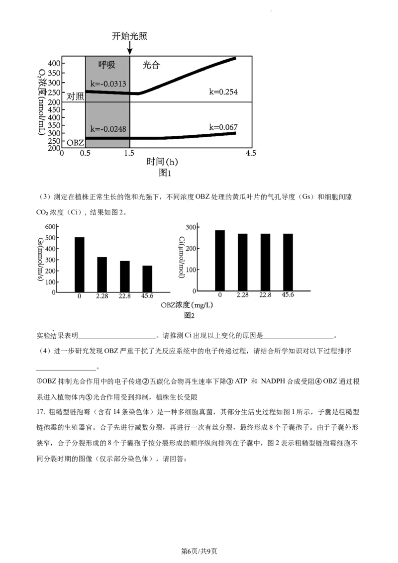 精品解析：福建省莆田二十五中2023-2024学年高三上学期期中生物试题（原卷版）(1)_2023年11月_0211月合集_2024届福建省莆田第二十五中学高三上学期期中考试