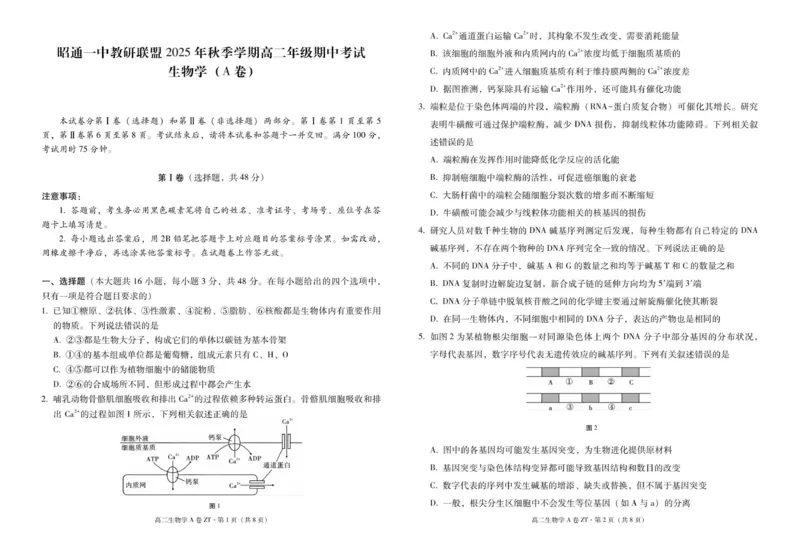 云南省昭通一中教研联盟2025-2026学年高二上学期期中考试生物（A卷）试题_251218云南省昭通一中教研联盟2025-2026学年高二上学期期中考试（A）（B）试卷