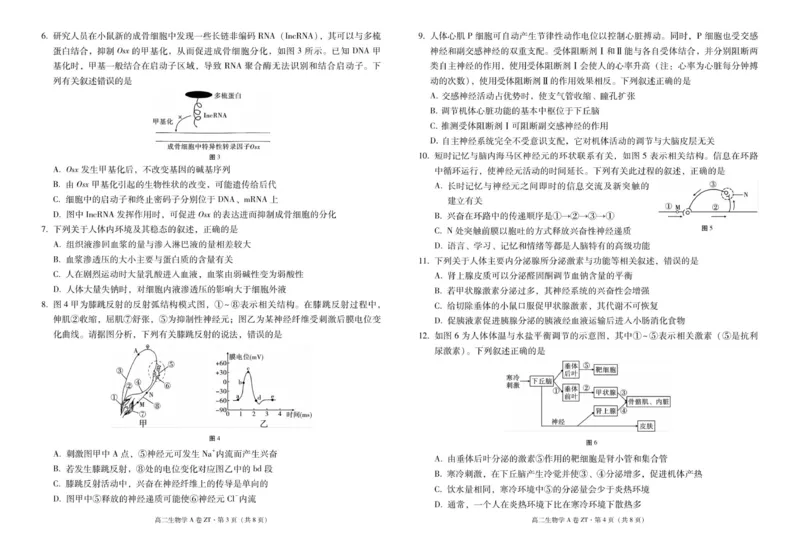云南省昭通一中教研联盟2025-2026学年高二上学期期中考试生物（A卷）试题_251218云南省昭通一中教研联盟2025-2026学年高二上学期期中考试（A）（B）试卷