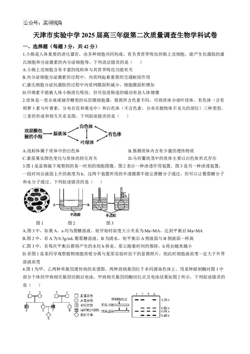 天津市实验中学2024-205学年高三上学期第二次月考试题生物Word版含答案_2024-2025高三（6-6月题库）_2024年10月试卷_1025天津市实验中学2024-205学年高三上学期第二次月考