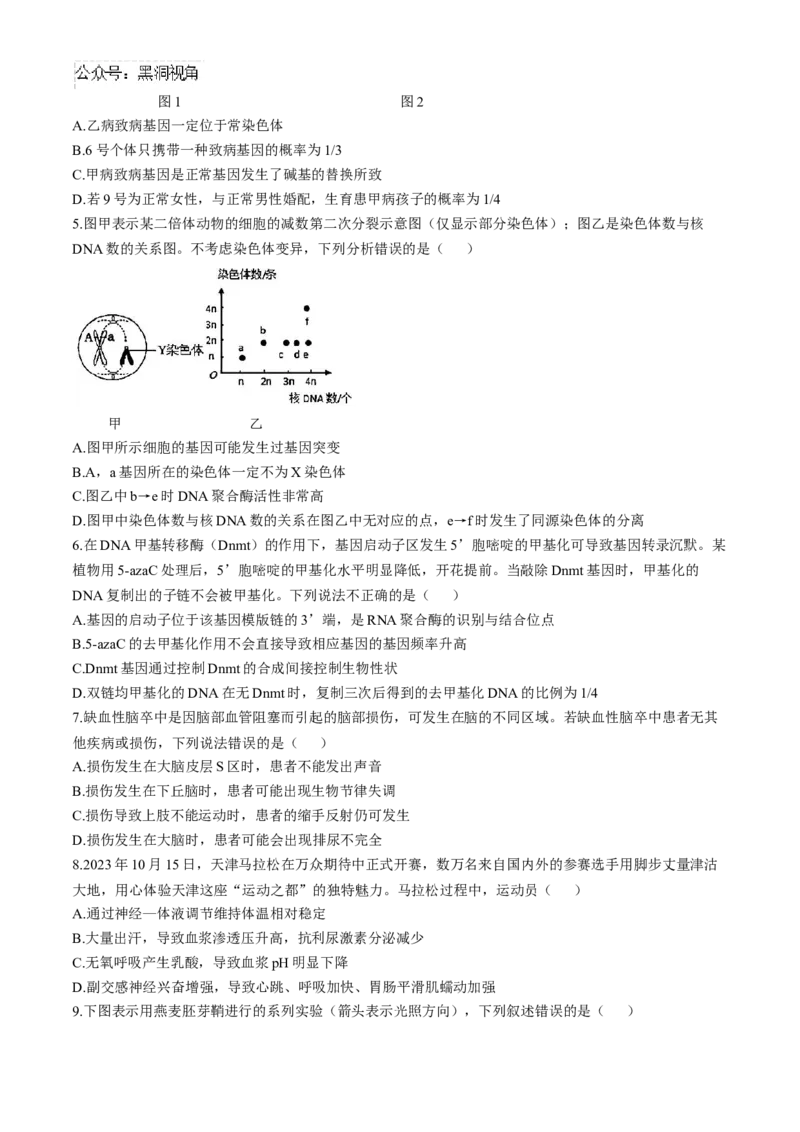 天津市实验中学2024-205学年高三上学期第二次月考试题生物Word版含答案_2024-2025高三（6-6月题库）_2024年10月试卷_1025天津市实验中学2024-205学年高三上学期第二次月考