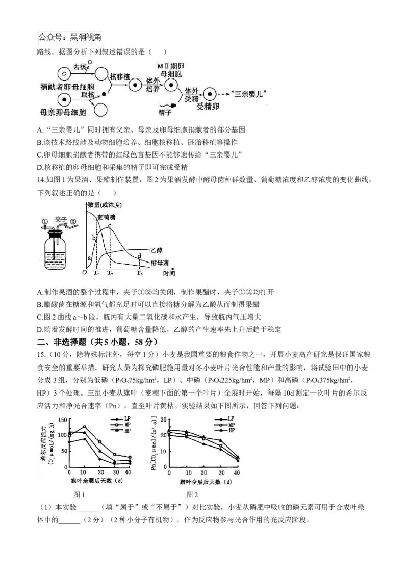 天津市实验中学2024-205学年高三上学期第二次月考试题生物Word版含答案_2024-2025高三（6-6月题库）_2024年10月试卷_1025天津市实验中学2024-205学年高三上学期第二次月考