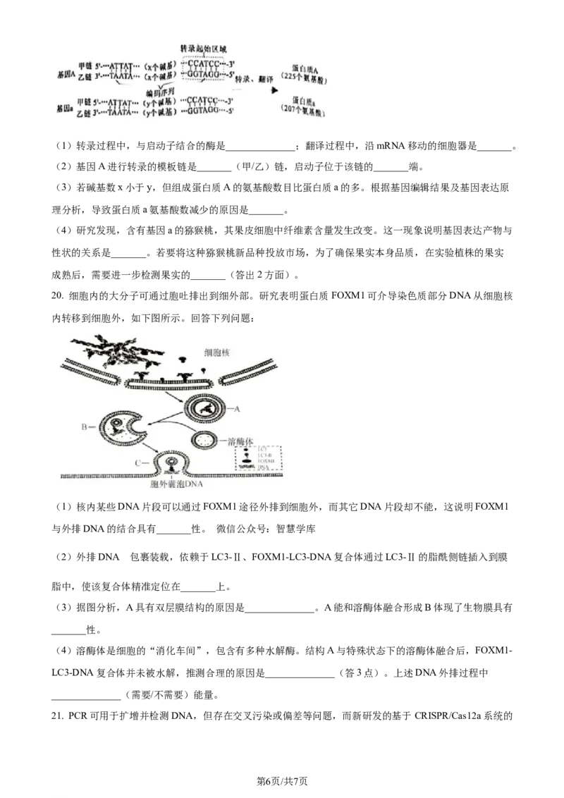 精品解析：2024年1月广西普通高等学校招生全国统一考试适应性测试（九省联考）生物试题（原卷版）_2024年2月_2024年九省联考各版本合集_广西（物化生政史地）_广西生物(含答案）