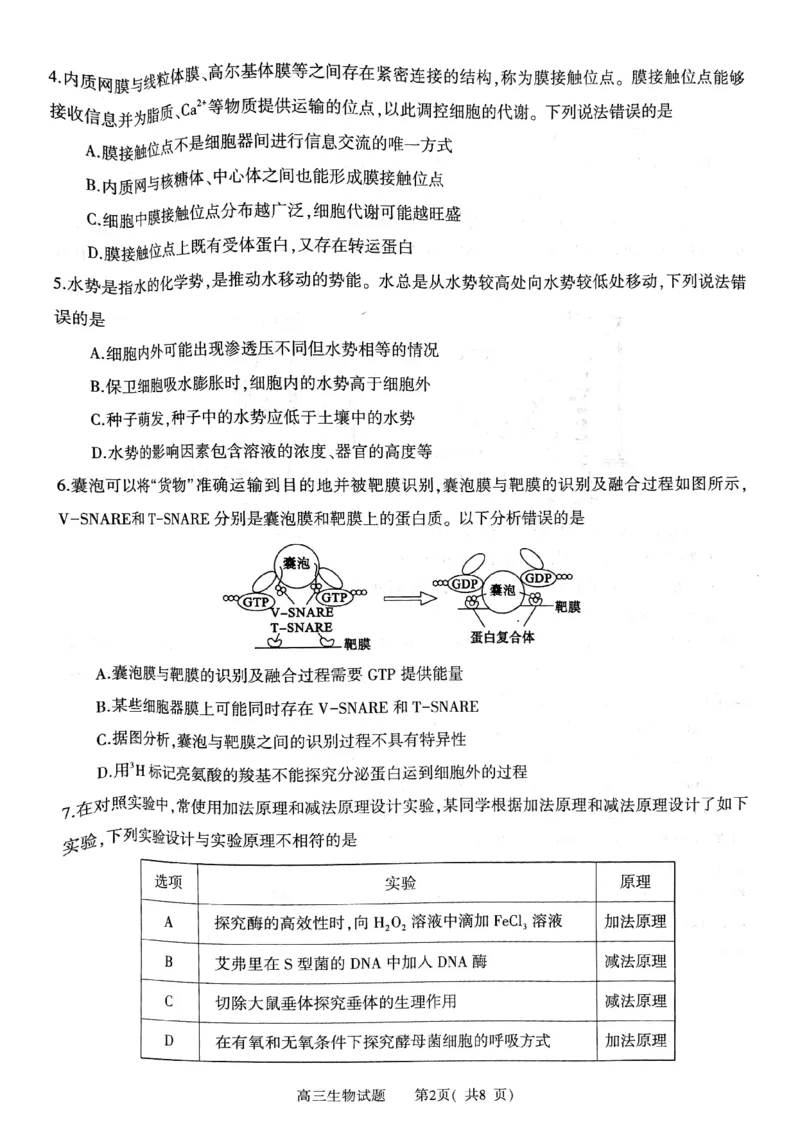 河南省信阳市2024-2025学年普通高中高三第一次教学教学质量检测生物_2024-2025高三（6-6月题库）_2024年10月试卷_1020河南省信阳市2024-2025学年普通高中高三第一次教学教学质量检测
