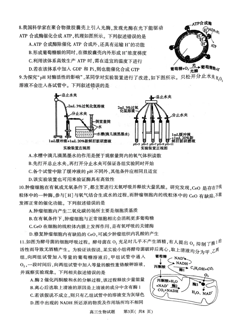 河南省信阳市2024-2025学年普通高中高三第一次教学教学质量检测生物_2024-2025高三（6-6月题库）_2024年10月试卷_1020河南省信阳市2024-2025学年普通高中高三第一次教学教学质量检测