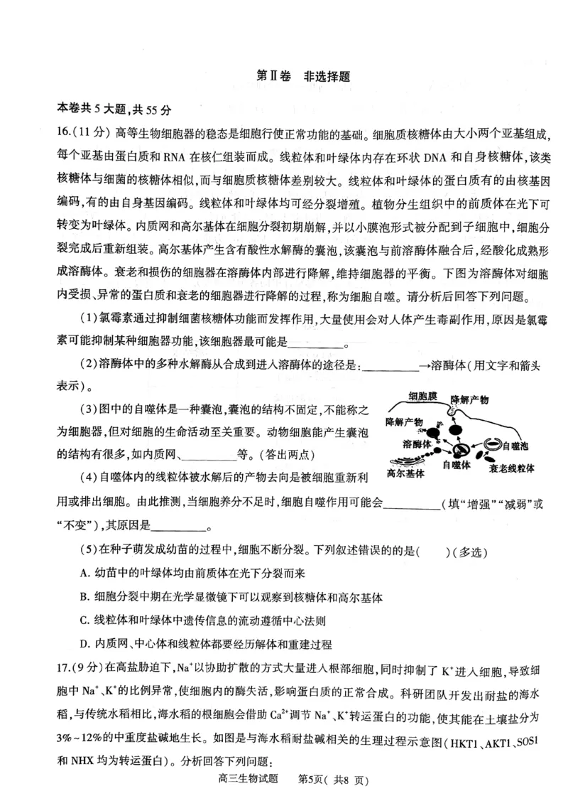 河南省信阳市2024-2025学年普通高中高三第一次教学教学质量检测生物_2024-2025高三（6-6月题库）_2024年10月试卷_1020河南省信阳市2024-2025学年普通高中高三第一次教学教学质量检测
