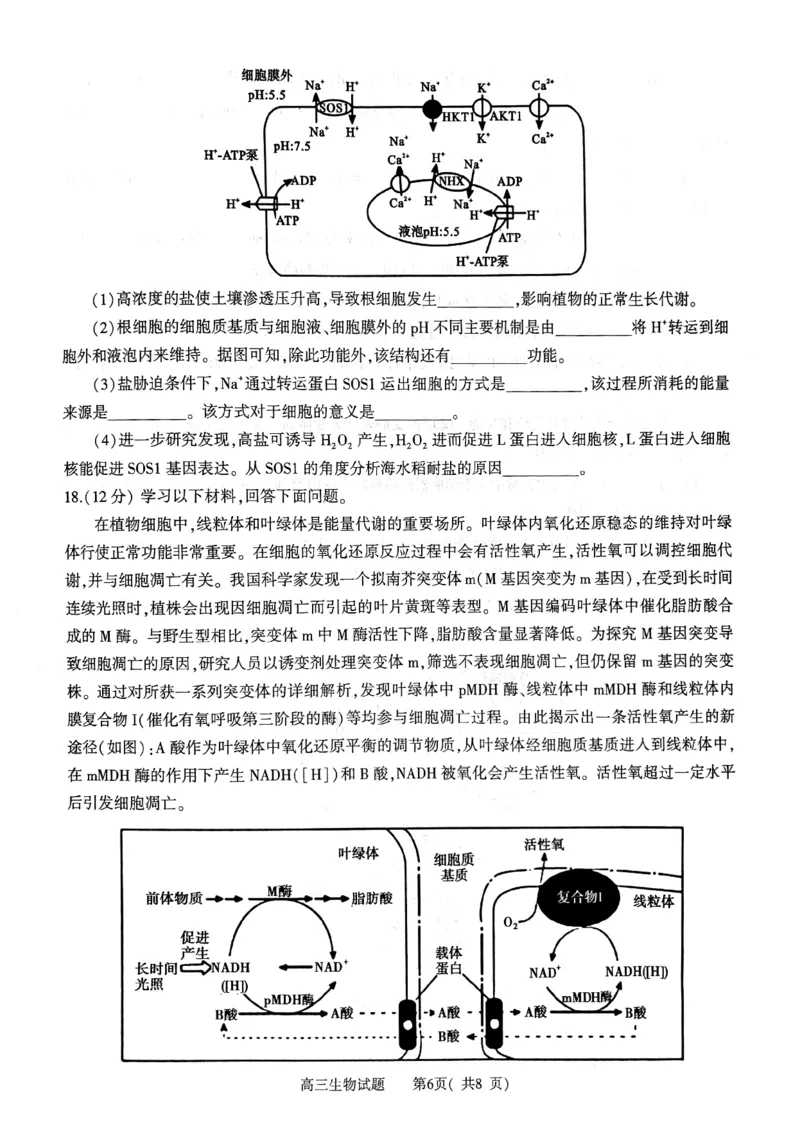 河南省信阳市2024-2025学年普通高中高三第一次教学教学质量检测生物_2024-2025高三（6-6月题库）_2024年10月试卷_1020河南省信阳市2024-2025学年普通高中高三第一次教学教学质量检测