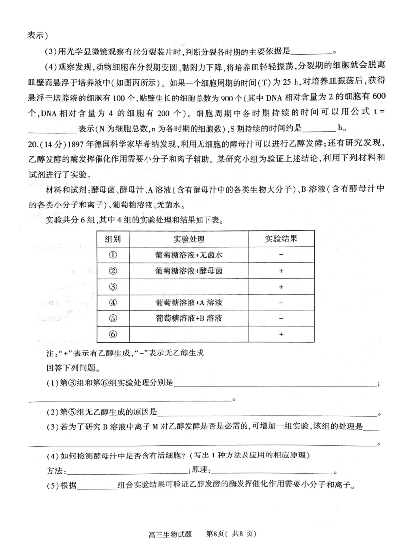 河南省信阳市2024-2025学年普通高中高三第一次教学教学质量检测生物_2024-2025高三（6-6月题库）_2024年10月试卷_1020河南省信阳市2024-2025学年普通高中高三第一次教学教学质量检测