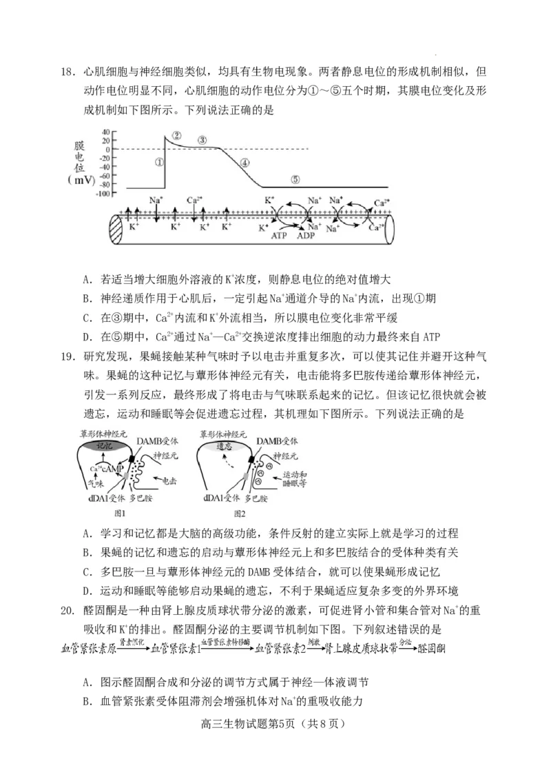 山东省日照市2021级高三上学期期中校际联合考试生物试题(1)_2023年11月_0211月合集_2024届山东省日照市高三上学期期中考试_山东省日照市2024届高三上学期期中考试生物